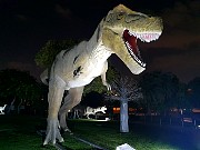 398  Dinosaur Park.jpg